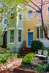 urban spring in washington dc residential area
Fresh greenery and bright sunlight bring life to...