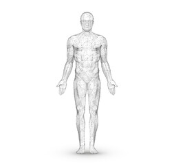 Human body. Abstract vector. Digital anatomy, Medical technology, Muscle structure.