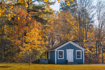 A cozy blue cabin nestled in a forest of vibrant autumn foliage under a clear sky. Warm, golden leaves surround the rustic home, capturing the peaceful essence of fall in the countryside.