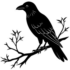 Obraz premium A crow on a tree branch vector, a unique crow animal design, a vector of a crow on a tree branch, simple crow art, a crow symbol isolated