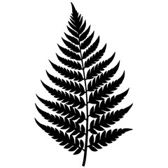 A fern leaf vector, a fern leaf design, vector of a fern leaf, simple fern leaf art, a fern leaf icon symbol isolated