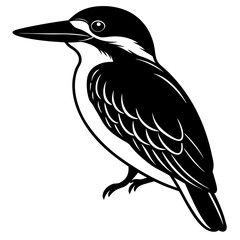 Kingfisher vector, a kingfisher art design, vector of a kingfisher, simple kingfisher art, a simple kingfisher bird isolated