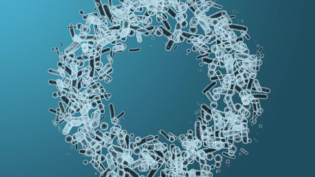 Enterobacteriaceae, gram-negative rod-shaped bacteria, part of intestinal microbiome and causative agents of different infections, 3D rendering. Escherichia coli, Klebsiella, Enterobacter and other	