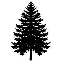 Obraz premium Pine tree vector, a pine tree art design, vector of a pine tree, pine tree art, a pine tree isolated