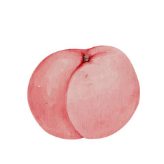 Juicy ripe fruit of peach, nectarine. Vector graphics.