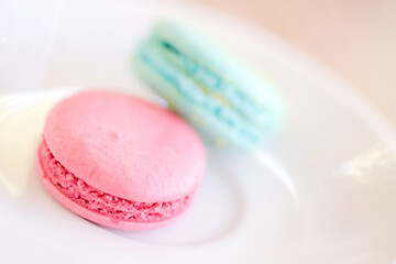 French colorful macarons