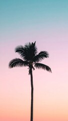 Lone Palm Tree Silhouette with Pastel Colored Sky at Dusk in Exotic Locale