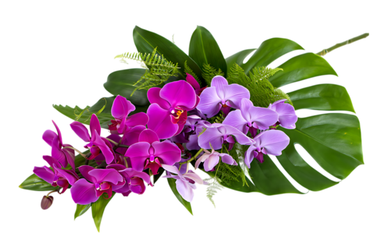 Vibrant pink and purple orchids with lush greenery isolated on transparent background