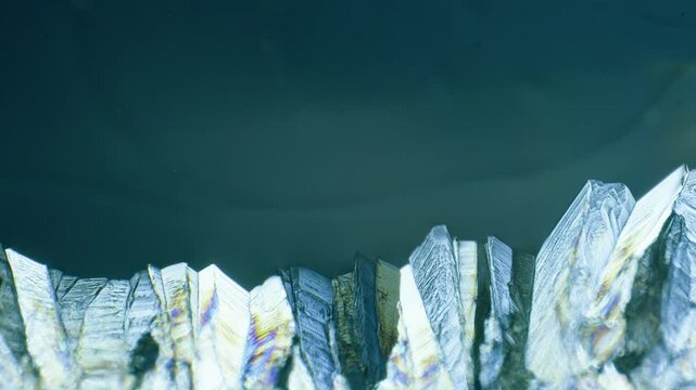 Copper sulphate crystals growing under microscope in polarized light
