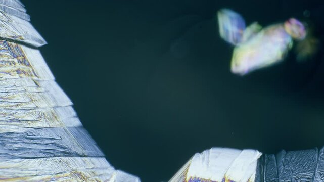 Copper sulphate crystals growing under microscope in polarized light