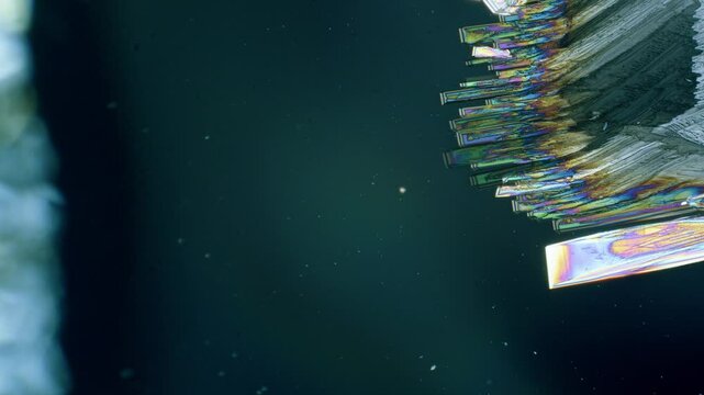 Copper sulphate crystals growing under microscope in polarized light