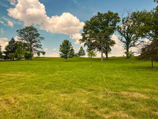 Looking up at a grassy hill lined with trees at Forest Park in St. Louis, Missouri, USA. Beautiful open space in the middle of the city. Sunny summer day with fluffy clouds.
