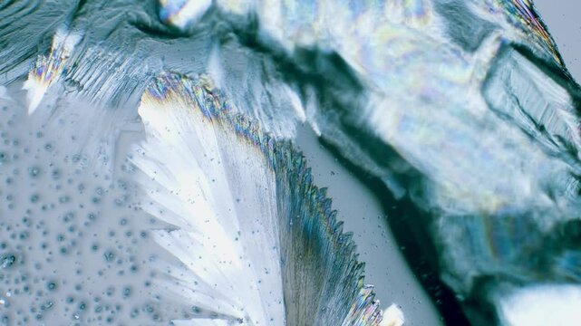 Copper sulphate crystals growing under microscope in polarized light