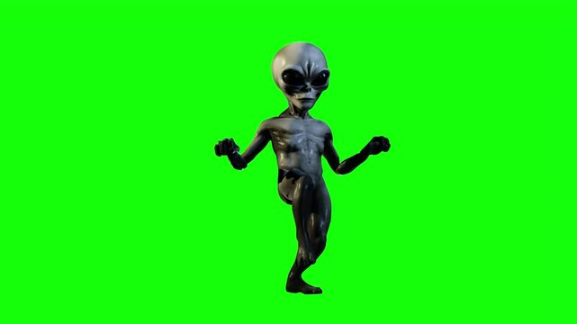 Realistic 3D green screen animation of a gray alien being walking stealthily