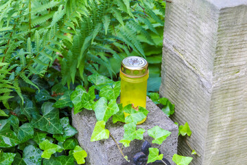 Yellow protective post marker embedded in concrete pavement surrounded by lush green vegetation in...