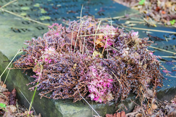 Dried purple flowers in wicker basket creating rustic floral arrangement for seasonal decoration