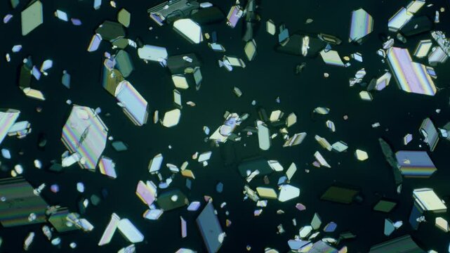 Copper sulphate crystals growing under microscope in polarized light