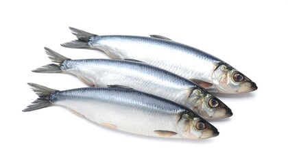 Three whole fish on white background