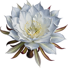 Queen of the Night Flower with oil painting