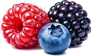 A Trio of Mixed Berries with oil painting