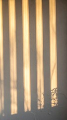 Abstract Sunlight Stripes and Shadows on a Gray Wall Texture with Pattern