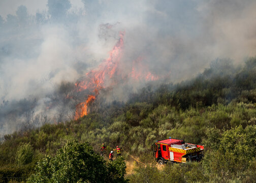 Forest fire rages through dry brush as firefighters work to contain the blaze in a wooded area during the peak of summer