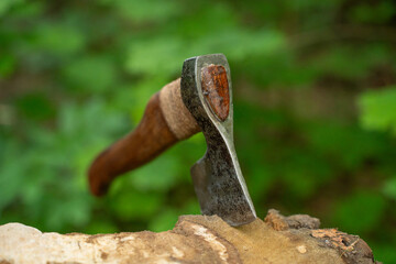Viking axe stuck into a stump in a green forest