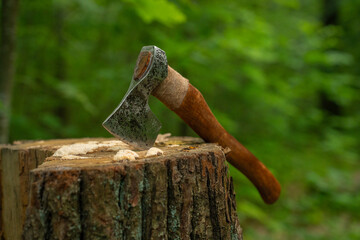 Viking axe against a green forest background