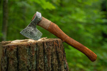 axe lies on the oak bark in the forest
