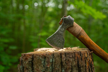 Viking axe stuck into a stump in a green forest