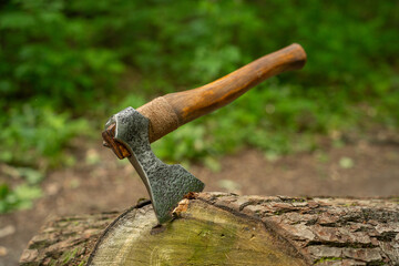 Viking axe against a green forest background
