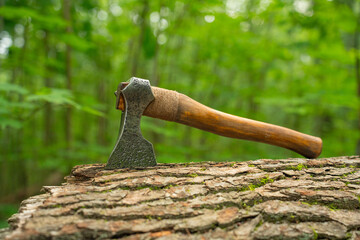 Viking axe against a green forest background