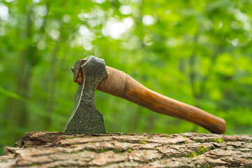 Viking axe against a green forest background