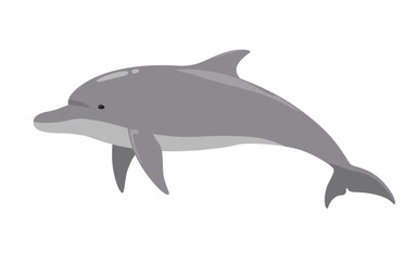 イルカのベクターイラスト
