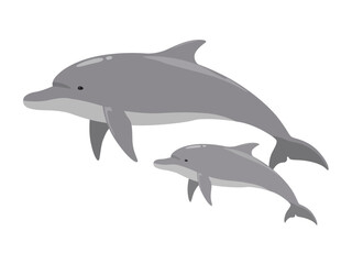 Obraz premium イルカの親子_ベクターイラスト
