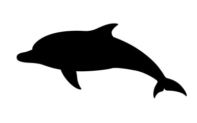 イルカのシルエット_ベクターイラスト © あ こ