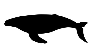 ザトウクジラのシルエット_ベクターイラスト