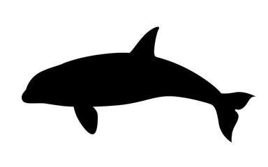 Fototapeta premium シャチのシルエット_ベクターイラスト