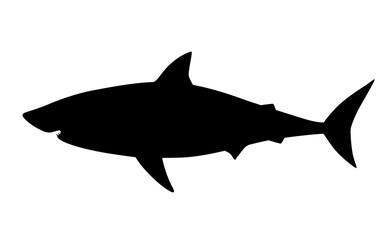 ホホジロザメのシルエット_ベクターイラスト