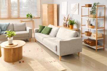 Interior of modern living room with sofas and plants