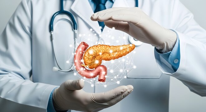 World Pancreatic Cancer Day Doctor's Hands Protecting Pancreas Medical Care and Health Concepts with Illustrated Connections, Healthcare Support and Treatment