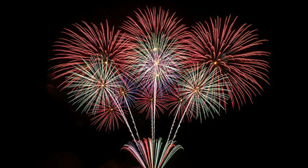 Fototapeta premium Vibrant fireworks display against a dark night sky, bursting with red, white, and blue colors.