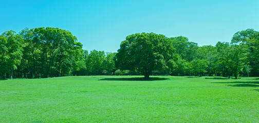 緑の公園　バナー画像