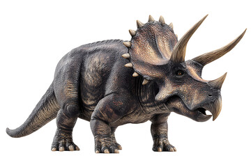 Fototapeta premium Realistic 3D model of a triceratops dinosaur with intricate textures and strong posture, isolated on transparent background
