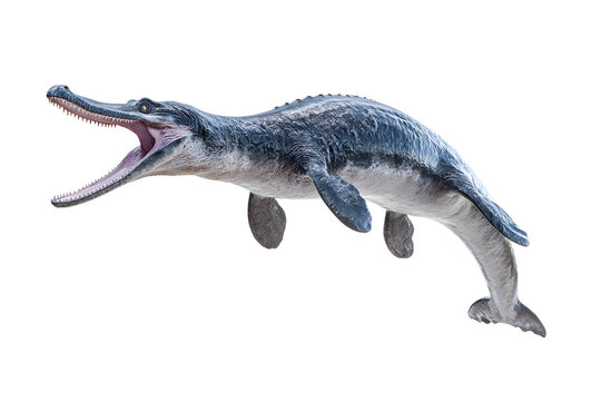 Realistic 3D model of an ichthyosaurus swimming with detailed textures and sharp teeth, isolated on transparent background