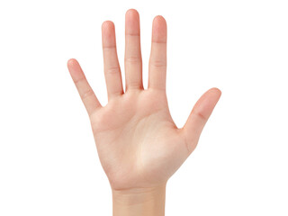 Open hand palm up five fingers isolated black background, Isolated On Transparent Background, Png