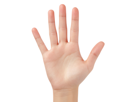 Open hand palm up five fingers isolated black background, Isolated On Transparent Background, Png