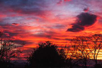 majestic pink and orange sunrise clouds over suburban australian backyard © faithie