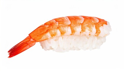 Single piece of shrimp sushi