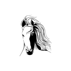 horse vector, graphic design